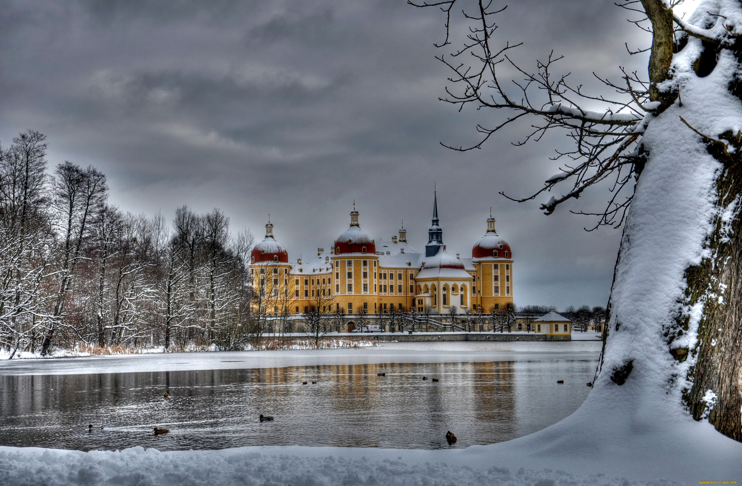 moritzburg castle , , - ,  ,  , , , , moritzburg, , , castle